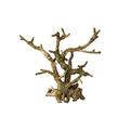 Europet Dekor Aquarium aus Polyresin Aqua Della Bonsai Brown 26 x 10,5 x 24 cm/without Leaves – Lot de 2