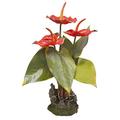 Lucky Reptile IF-30 Anthurium Kunststoffpflanze/Plastikpflanze mit Fuß, rot