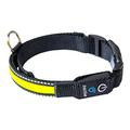 tractive LED Hundehalsband