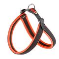 Ferplast Agila Neon 3 Hundegeschirr, orange 42 cm x 50 cm x 15 mm