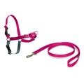 PetSafe Easy Walk Hundegeschirr L pink, 1,8 m Leine, kein Ziehen, Tragekomfort, für große Hunde