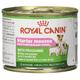 Royal Canin Hundefutter Starter mousse, 195g, 12-er Pack