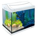 Tetra AquaArt Discovery Line LED Aquarium-Komplett-Set 20 Liter weiß (inklusive LED-Beleuchtung, Tag- und Nachtlichtschaltung, Innenfilter und Aquarienpumpe, ideal für Garnelen)