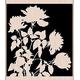 Unbekannt Hero Arts Silhouette Meadow Flower Mounted Holz Stempel, mehrfarbig, Farbe