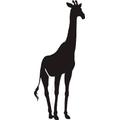 Indigos WG20040-70 Wandtattoo w040 Giraffe Afrika Tier Dschungel Wüste Wandaufkleber 96 x 41 cm, Schwarz