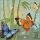 Riolis 1336 Kreuzstich-Set Schmetterlinge, Baumwolle, Mehrfarbig, 35 x 35 x 0.1 cm