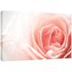 MOOL Hundebett, groß, 32 x 22, Leinwand Rose Flower von Hand gespannt auf Holzrahmen mit Giclée-Druck wasserdicht, lackiert, fertig zum Aufhängen, Rosa