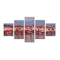 Visario 5582 Bilder und Kunstdrucke auf Leinwand Bild 160 x 80 cm, Flamingos fünfteilig