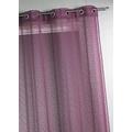 Home Maison hm6923314 Vorhang,/Gewinde gewebt, große Breite Polyester Pflaume 300 x 240 cm