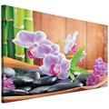 Delester Design PP106 O1 Orchidee, Bild 100 x 75 x 75 cm