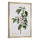 Gerahmtes Bild von Pierre Joseph Redouté Apple Blossom, from 'Les Choix des Plus Belles Fleurs', Kunstdruck im hochwertigen handgefertigten Bilder-Rahmen, 60x80 cm, Silber raya