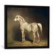 Gerahmtes Bild von Carl Constantin Steffeck'Beatrice', the white arab saddlehorse of Helmuth Graf von Moltke, 1855", Kunstdruck im hochwertigen handgefertigten Bilder-Rahmen, 70x50 cm, Schwarz matt