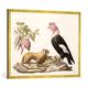 Gerahmtes Bild von Friedrich Alexander Humboldt "Lion monkey and condor, native to Chile or Ecuador, from 'Le Costume Ancien et Moderne', Volume II, plate 1, by Jules Ferrario,", Kunstdruck im hochwertigen handgefertigten Bilder-Rahmen, 100x70 cm, Gold...