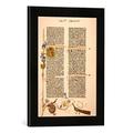 Gerahmtes Bild von Johannes Gutenberg Gutenberg-Bibel, Initiale B, Kunstdruck im hochwertigen handgefertigten Bilder-Rahmen, 30x40 cm, Schwarz matt