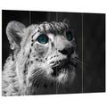 Pixxprint Anmutiger Schneeleopard Blaue Augen schwarz/weiß, MDF-Holzbild im Bretterlook Format: 80x60cm, Wanddekoration