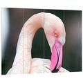 Pixxprint HBVs_1942_80x60 Flamingo macht sich sauber MDF-Holzbild im Bretterlook Wanddekoration, bunt, 80 x 60 x 2 cm
