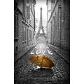 Artis 612856 Paris with Love Wanddekoration REG 'Art Plexiglas Mehrfarbig 65 x 97 cm