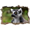 Pixxprint 3D_WD_S1119_62x42 neugieriger Lemur macht große Augen Wanddurchbruch 3D Wandtattoo, Vinyl, bunt, 62 x 42 x 0,02 cm