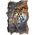 Pixxprint 3D_WD_S4842_62x42 prächtiger Tiger trinkt Wasser Wanddurchbruch 3D Wandtattoo, Vinyl, schwarz / weiß, 62 x 42 x 0,02 cm