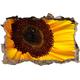 Pixxprint 3D_WD_S1978_92x62 zarte gelbe Sonnenblume Wanddurchbruch 3D Wandtattoo, Vinyl, bunt, 92 x 62 x 0,02 cm