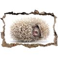 Pixxprint 3D_WD_S2557_62x42 süßes Igel Baby Wanddurchbruch 3D Wandtattoo, Vinyl, bunt, 62 x 42 x 0,02 cm