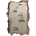 Pixxprint 3D_WD_S1211_92x62 Abdrüche von Bärentatzen im Sand Wanddurchbruch 3D Wandtattoo, Vinyl, Bunt, 92 x 62 x 0,02 cm