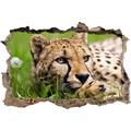 Pixxprint 3D_WD_S2676_92x62 liegender Gepard im Gras Wanddurchbruch 3D Wandtattoo, Vinyl, bunt, 92 x 62 x 0,02 cm