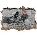 Pixxprint 3D_WD_S4967_62x42 prächtige Krabbe am Wasser Wanddurchbruch 3D Wandtattoo, Vinyl, schwarz / weiß, 62 x 42 x 0,02 cm