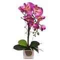 Flair Flower Phalaenopsis im Glas, Stoff, rosa, 35 x 15 x 10 cm