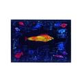 Unbekannt Neue imagesaffiche 40 x 50 cm der Fisch Rot/The Goldfish/der Goldene Fisch