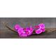 Pro-Art-Bilderpalette gla1335o Purple Orchid III Glas-Art, bunt, 50 x 125 x 1,4 cm