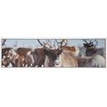 Viva Cow Hide NR04 North 240X66, PVC-Polyester, Multicolored, 240 x 66 x 4 cm