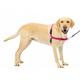 PetSafe Easy Walk-Geschirr, Anti-Zieh-Hundegeschirr, Verringert Würgen und Husten, Mit 1,8 M Leine, Größe L, Rosa