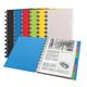 Esselte Dokumentenschutzfolie, A4, weich, 25 Hüllen, 50 Seiten, transparente Hüllen, verschiedene Farben, Vivida, 8 Stück, 624014
