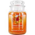 Yankee Candle Brilliant Autumn Large Jar Orange 22oz