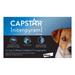 Capstar Blue For Small Dogs 2 - 25 Lbs 12 Tablet