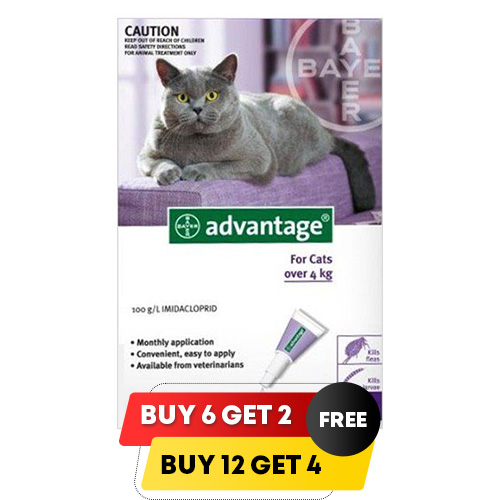 Advantage Cats Over 9lbs (Purple) 6 + 2 Free