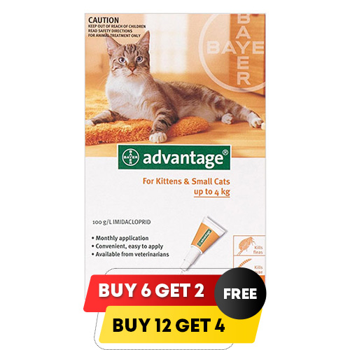 Advantage Kittens & Small Cats 1-9lbs 12 + 4 Free
