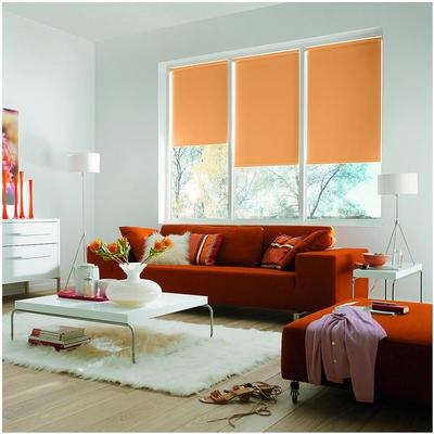 Büscher Sunlines Seitenzug-Rollo mit Verdunkelung - 1220x1800 mm orange, 122x180 cm