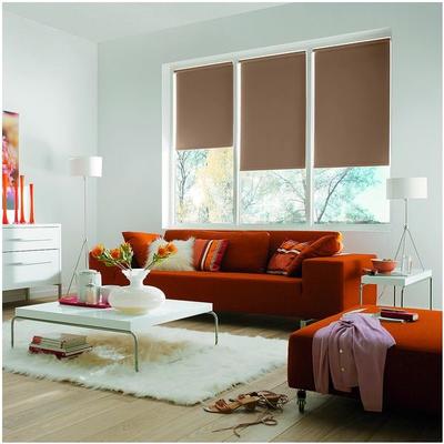 Büscher Sunlines Seitenzug-Rollo mit Verdunkelung - 620x1800 mm braun, 62x180 cm