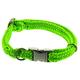 Dinoleine Hunde-Halsband mit Click-Verschluss, Größenverstellbar, Polyester, Größe: S/30-45 cm, Neongrün, 260804