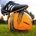 FORZA Training Football - Sizes 2, 3, 4 & 5 for Juniors & Seniors | Training Equipment in Bulk