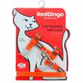Red Dingo Basic Leine/Geschirr für Katzen orange