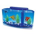 Penn-Plax Deluxe Triple Betta Schleife Aquarium Tank, 0.7-gallon