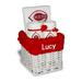 White Cincinnati Reds Personalized Small Gift Basket
