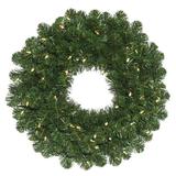 Vickerman 420126 - 24" Oregon Fir Wreath DL 35LED WmWht (C164625LED) 24 Inch Christmas Wreath