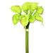 Vickerman 463116 - 14'' Calla Lily Bundle X 8-Green (FD170302) Home Office Flower Bundles