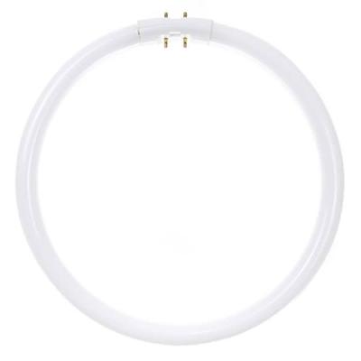 Sunlite 05810 - FC22T5/SP841 05810-SU Circular T5 ...