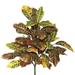 Vickerman 459270 - 34" Croton Plant X 3 W/40 Lvs-Green/Ora (FB172601) Home Office Picks and Sprays