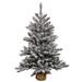 Vickerman 422038 - 2.5' Artificial Flocked Angel Pine Tree w/Burlap Base 50 Warm White LED Lights Christmas Tree (B160531LED)